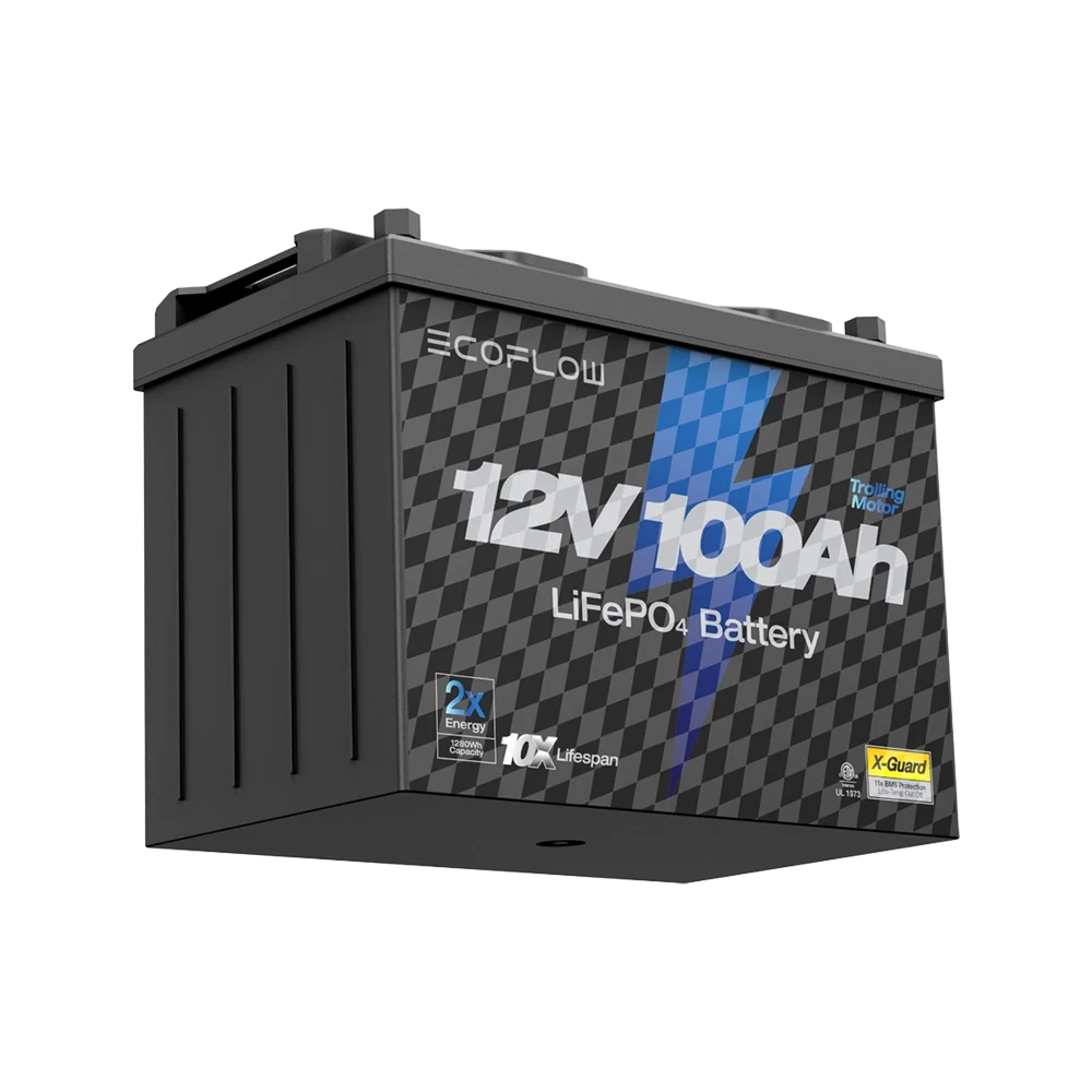 EcoFlow 12V 100Ah LiFePO4 Lithium Battery Deep Cycle