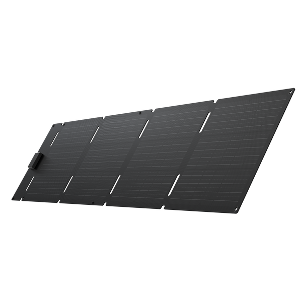 EcoFlow 60W Portable Solar Panel Type-C
