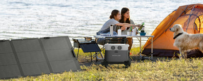 Two people camping by the water with a solar panel and generator, a dog is also present.