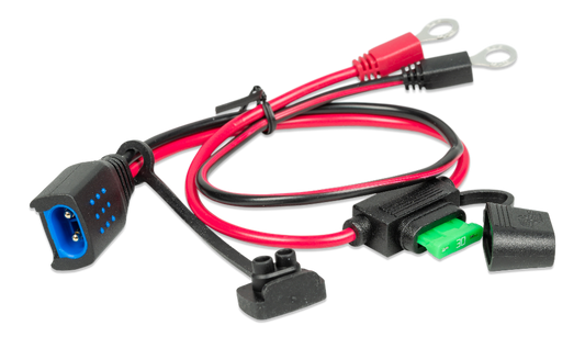 Wiring harness with connectors on a white background
