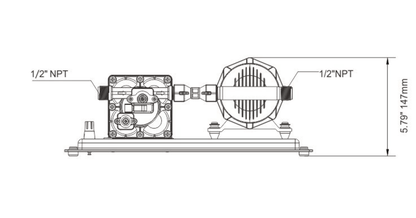 Seaflo Water Pressure System 11.3LPM 12V
