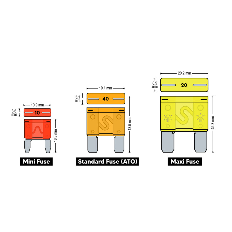 Compare differences between Mini, Standard ATO and Maxi fuse.