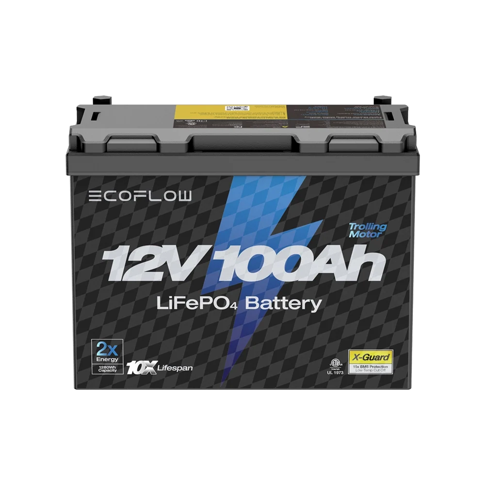 EcoFlow 12V 100Ah LiFePO4 Lithium Battery Deep Cycle