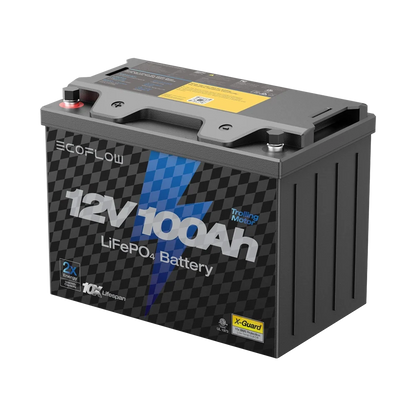 EcoFlow 12V 100Ah LiFePO4 Lithium Battery Deep Cycle